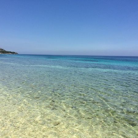 Oslob Garden Stay Beach Resort エクステリア 写真
