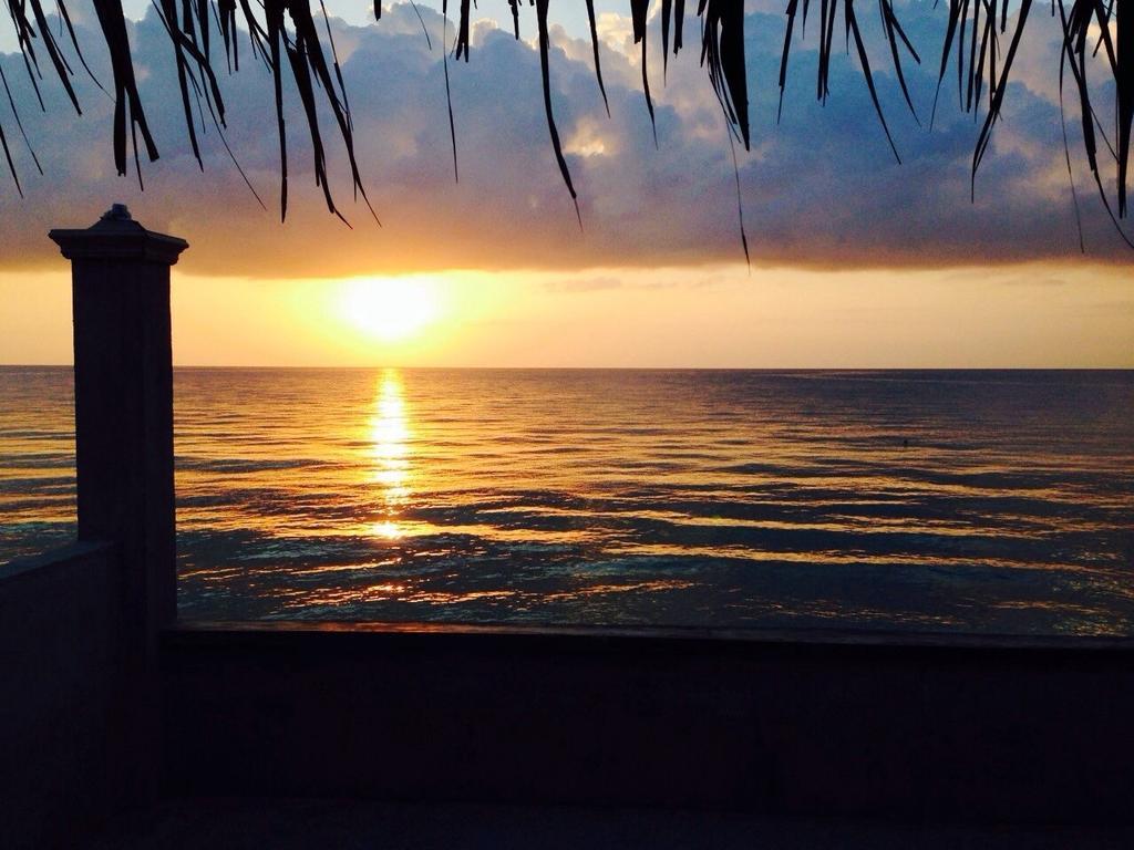 Oslob Garden Stay Beach Resort エクステリア 写真