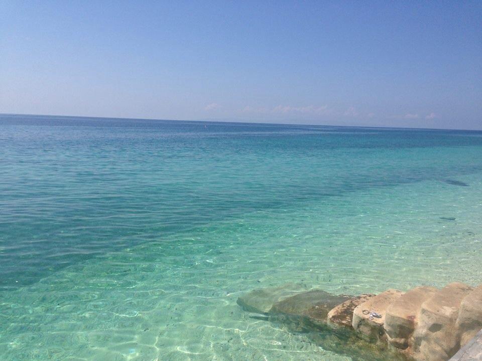 Oslob Garden Stay Beach Resort エクステリア 写真